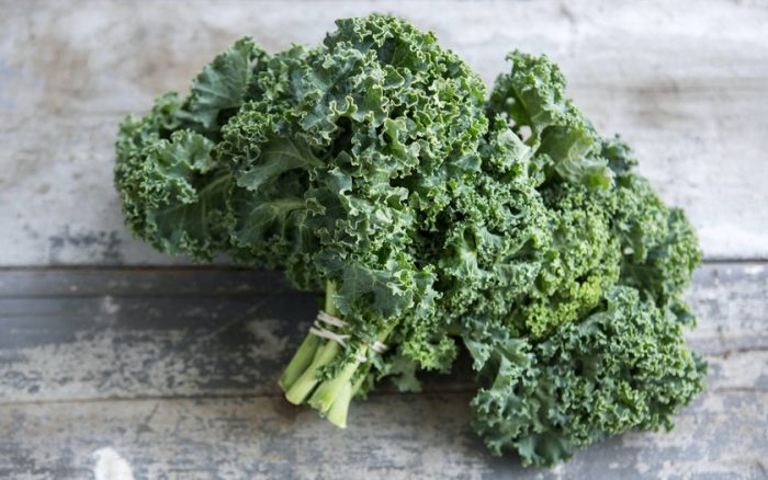 Manfaat Kale dan Tempat Jual Sayur Kale Organik De Grunteman