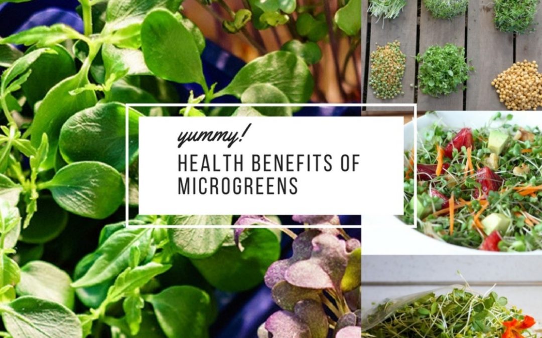 Manfaat Microgreens untuk Kesehatan