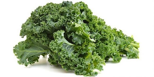 Manfaat Kale dan Tempat Jual Sayur Kale Organik De Grunteman