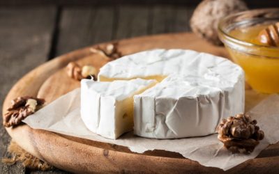 Mengapa Camembert Dan Informasi Artisan Camembert Cheese Supplier