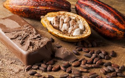 Informasi Kursus Coklat Chocolatier Online Dan Mengapa Cokelat ?